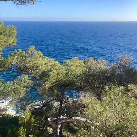 Luxury Top Floor Apartment With Terrace - Beaulieu Sur Mer Exterior photo