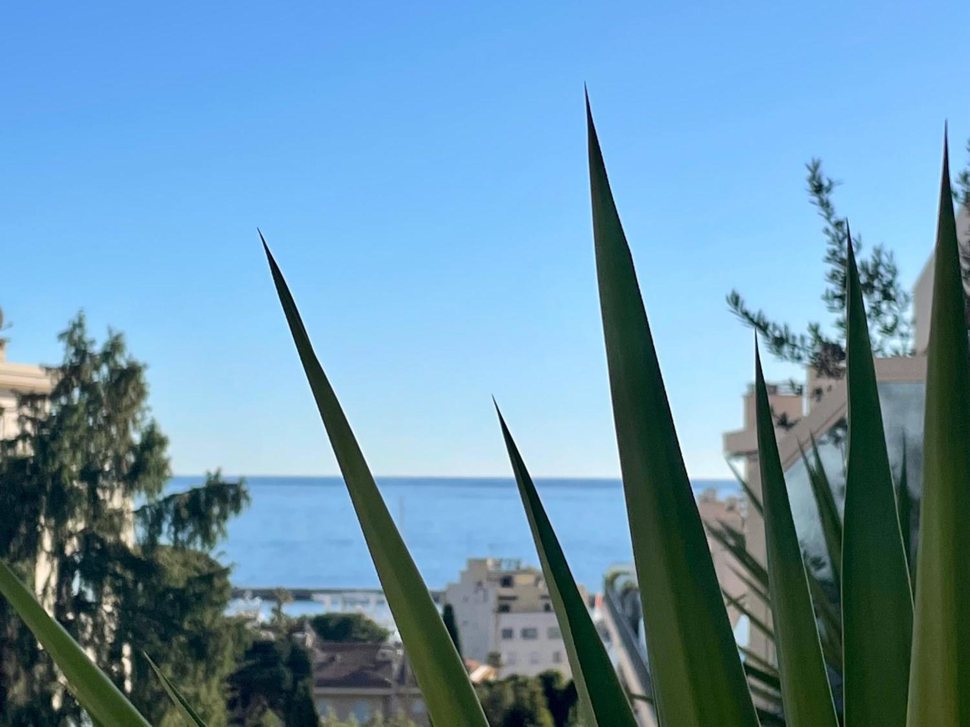 Appartement Luxury Floor With Terrace - Sur *