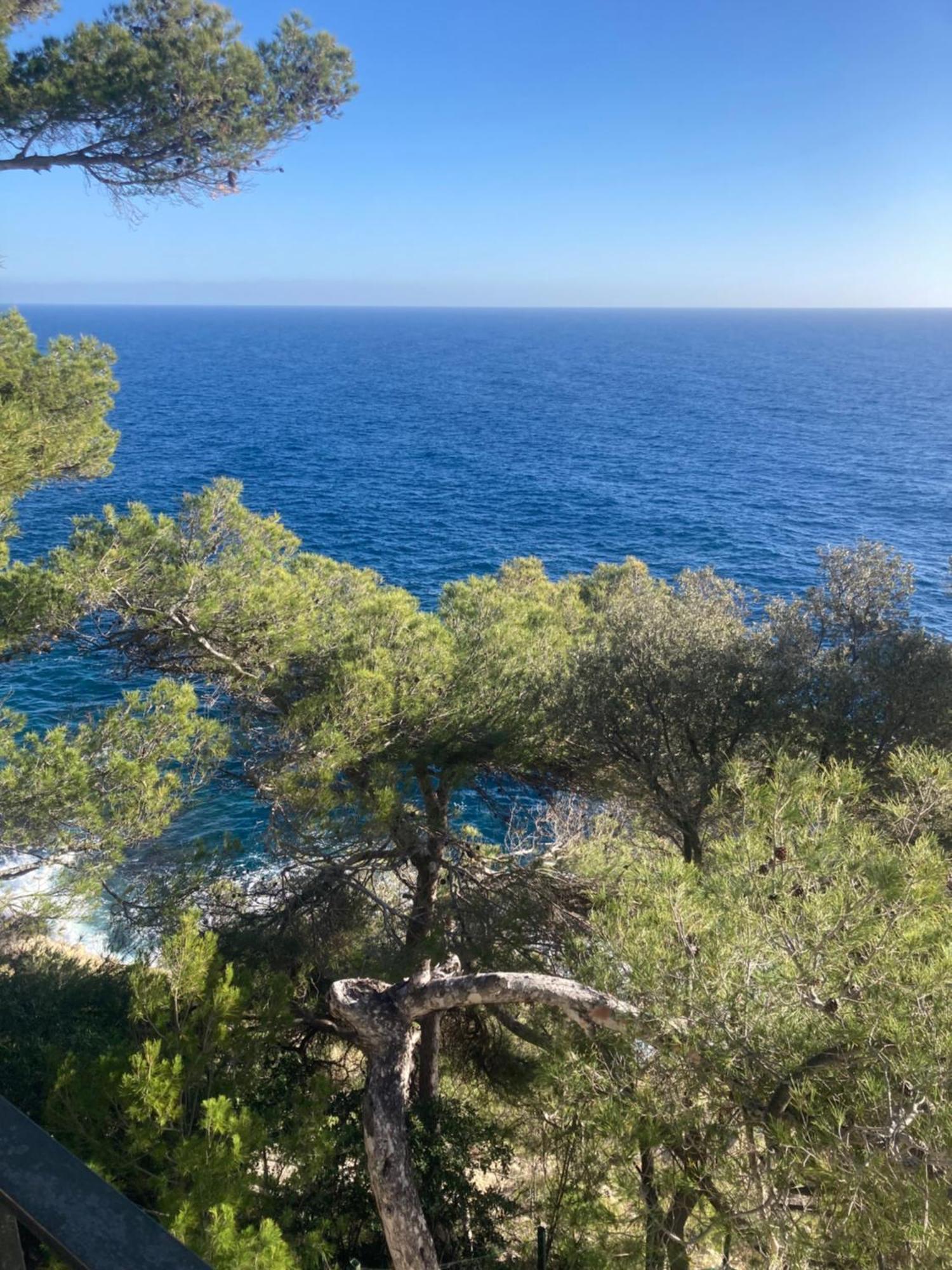 Luxury Floor With Terrace - Sur * Beaulieu-sur-Mer